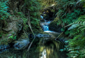 Natureza, Lago, Paisagem, Floresta, Cachoeira