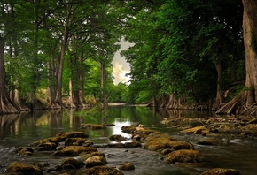 Lago, Floresta, Paisagem, Natureza