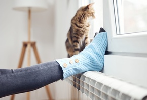 domestic cat, woolen socks, white radiator