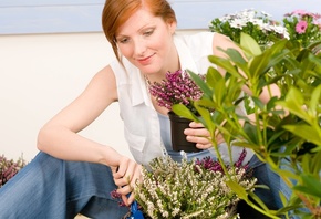 communal garden, flowers, spring