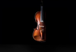 classical music, Violin, highest pitched instrument