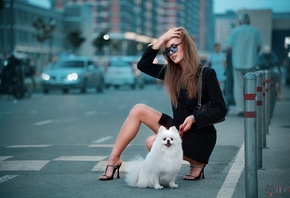 Maksim Matveev, women outdoors, Maxim Matveev, brunette, women with glasses, public, city, people, women, , cars, Pomeranian, animals, model, dog, urban, women with shades