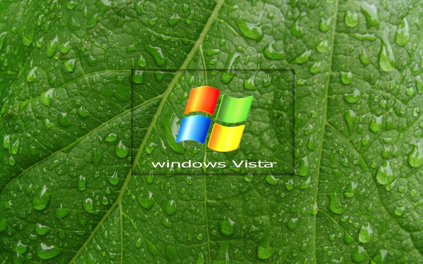  , windows vista, 