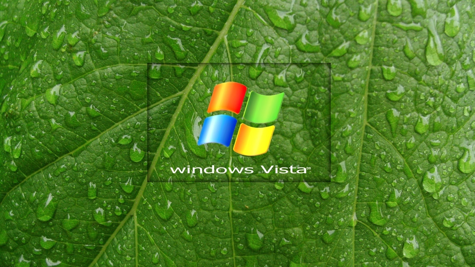  , windows vista, 