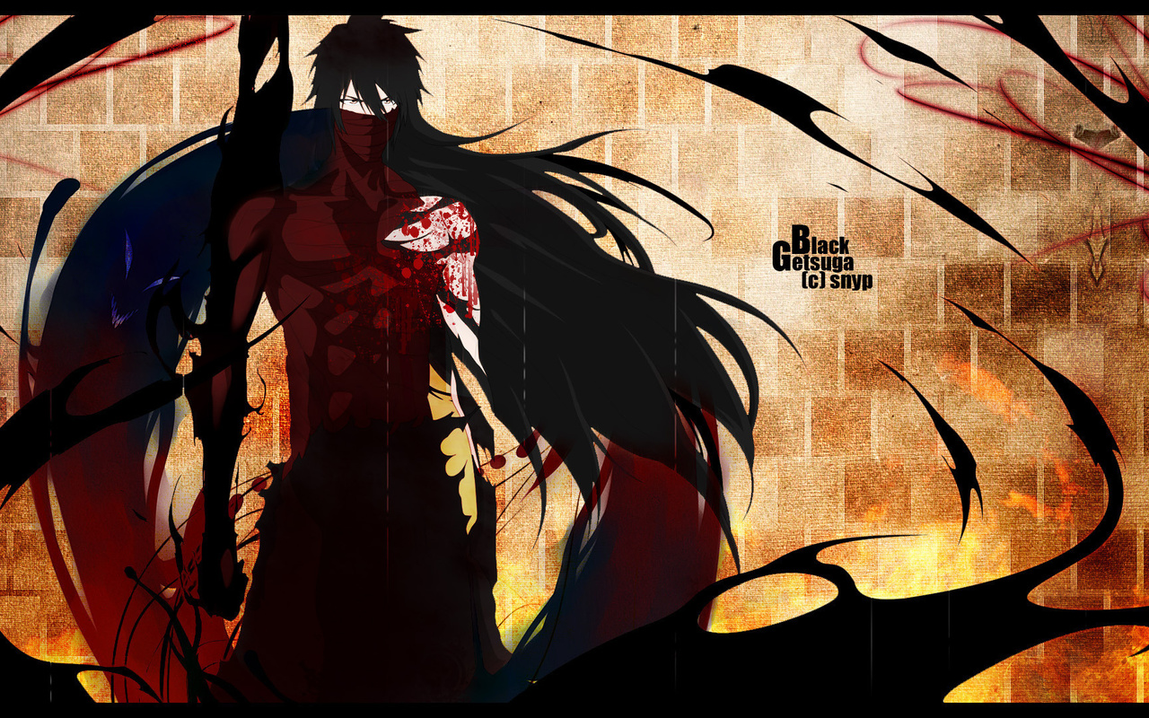 , kurosaki ichigo, Bleach