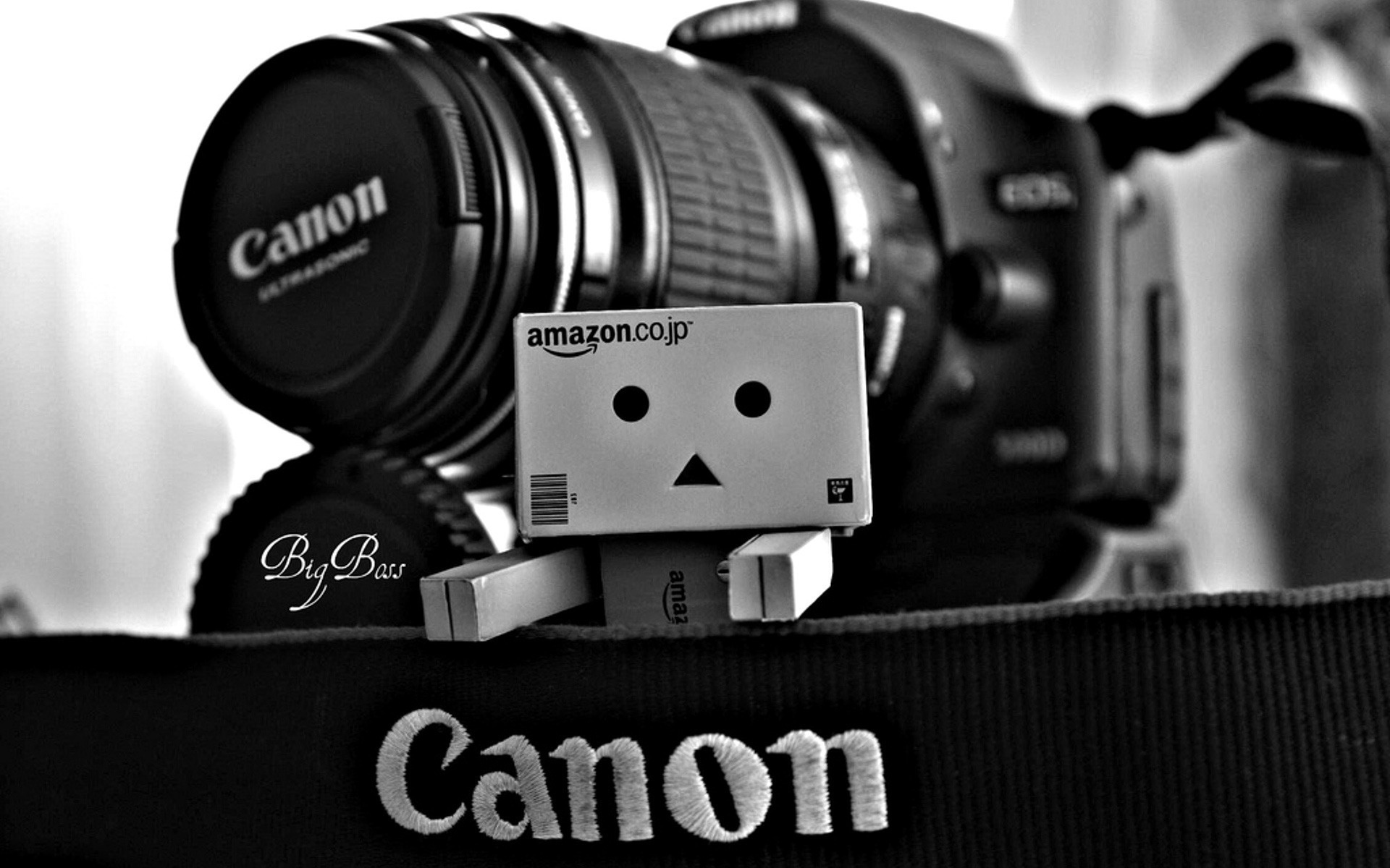 Danbo, canon, , 