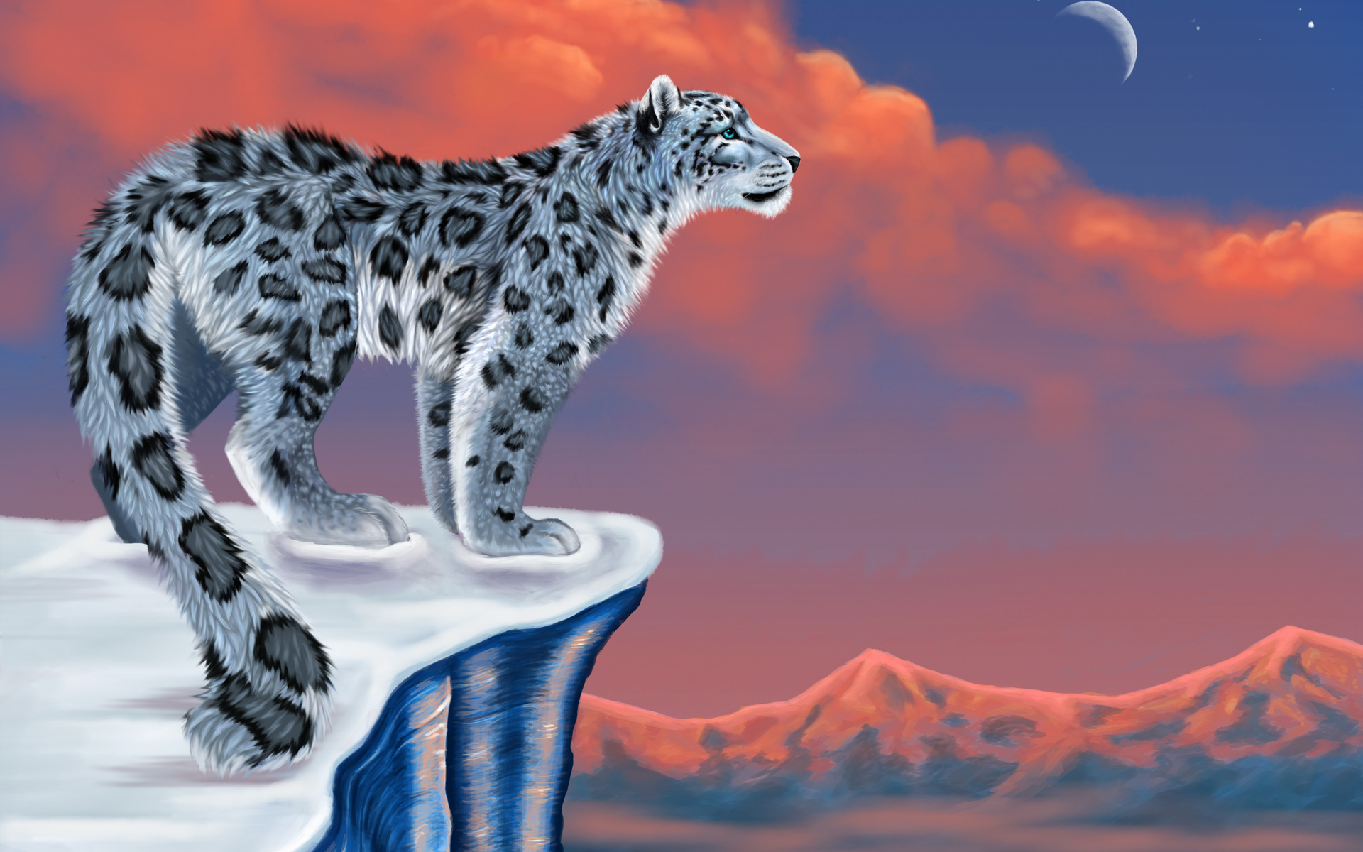  , , , , , snow leopard, 