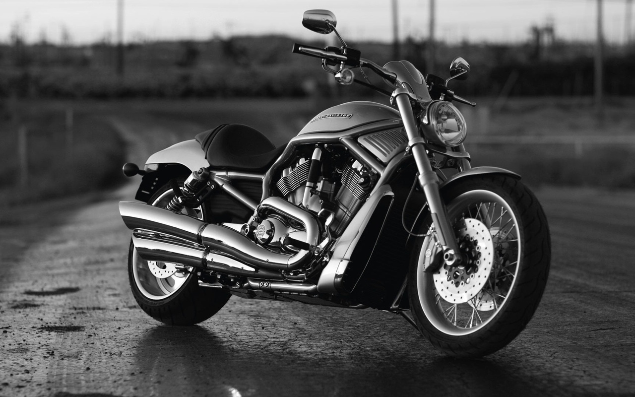 , , , , h-d, harley-davidson, v-rod