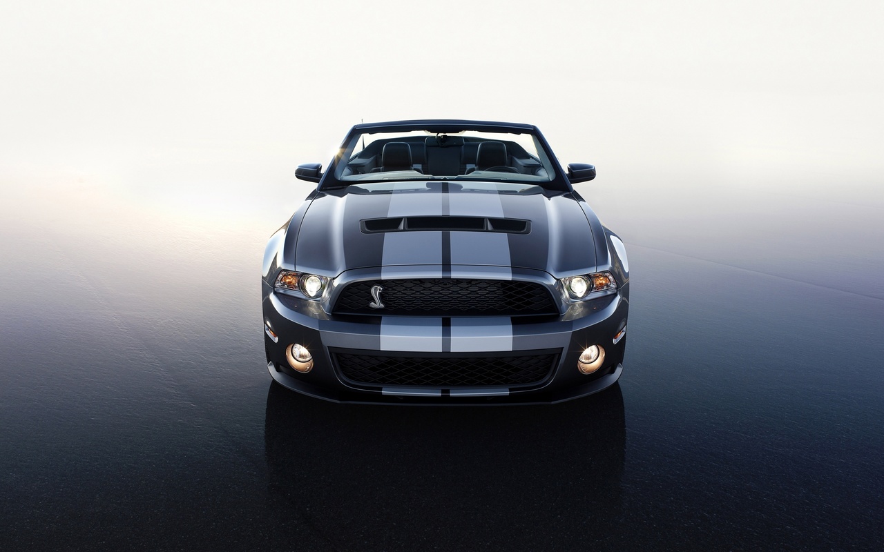 Ford, gt 500, 2010, shelby