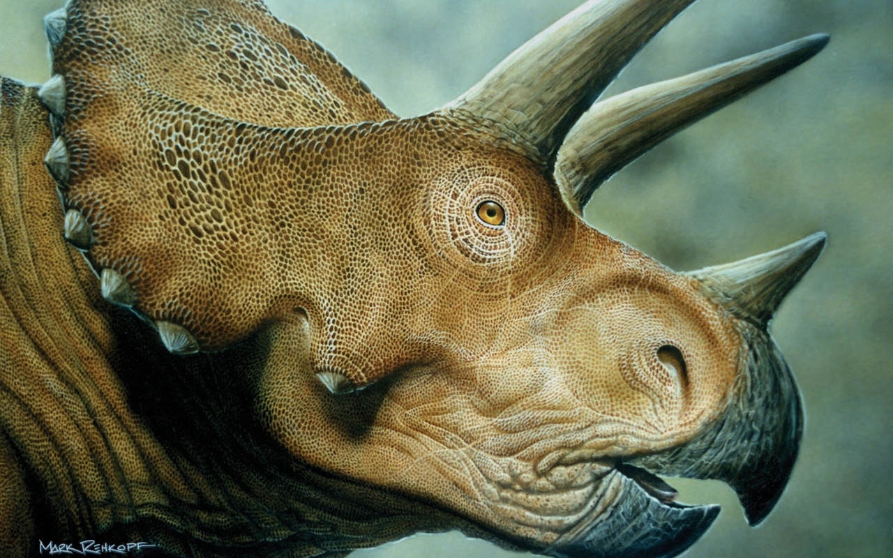 , , Triceratops