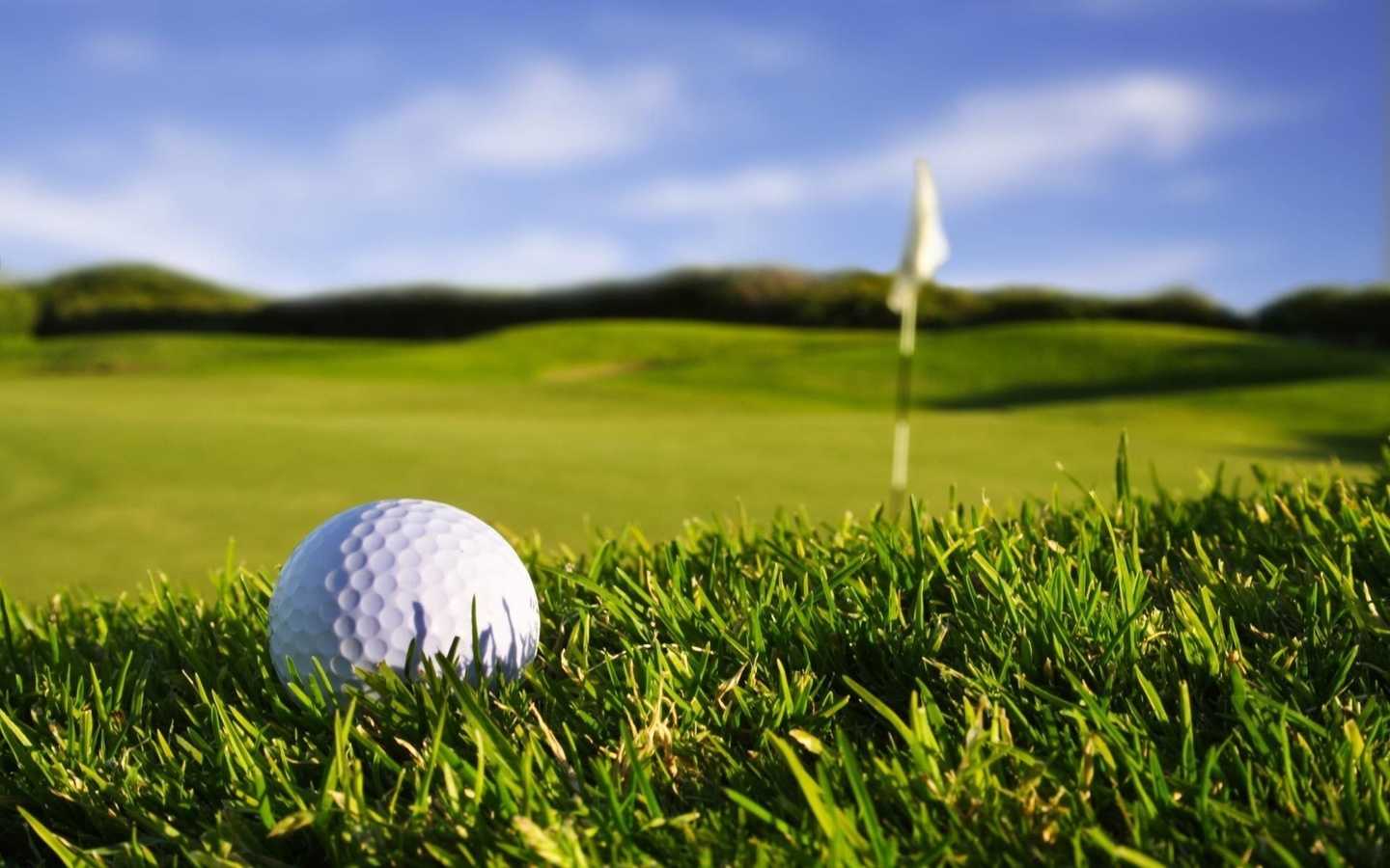 sport wallpapers, grass,   , , , macro, , golf, , , , , , 