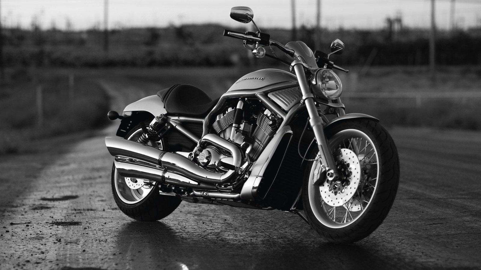 , , , , h-d, harley-davidson, v-rod