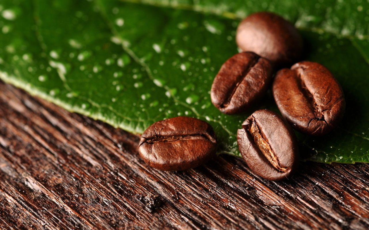 , , , leaf, beans, , coffee, macro