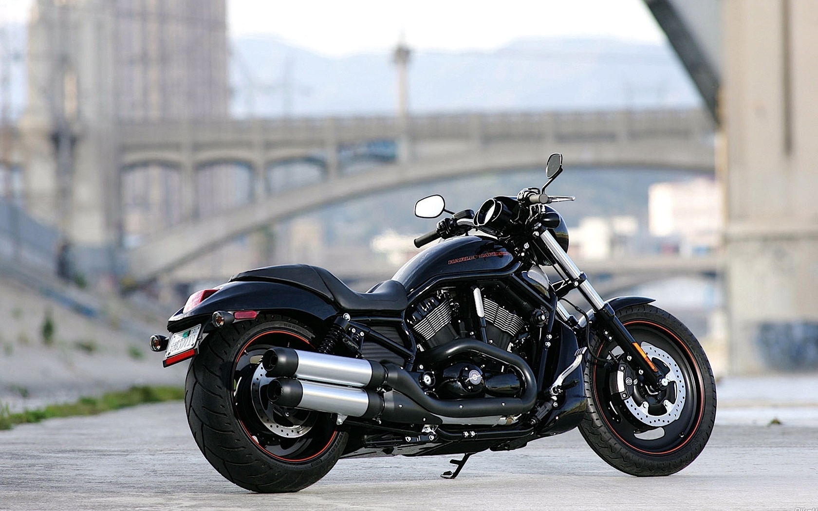 , , h-d, harley-davidson, v-rod