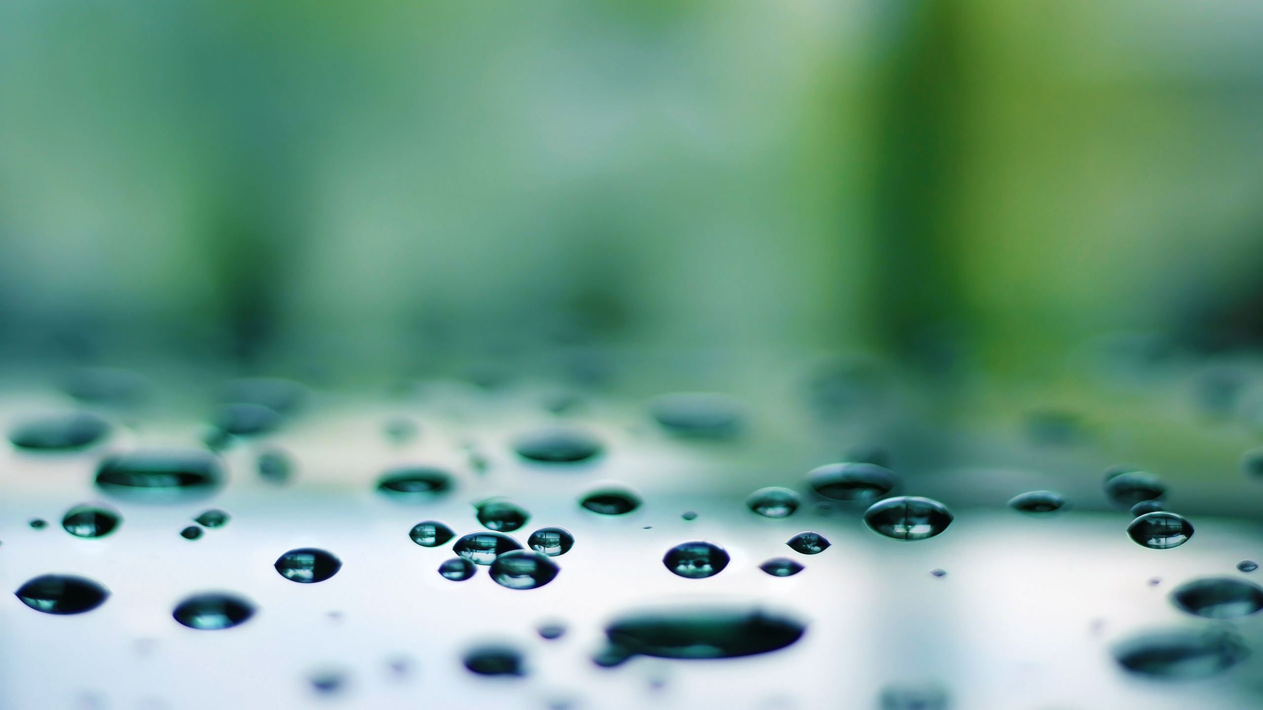 drops, 2560x1600, reflection, , macro, , , , water