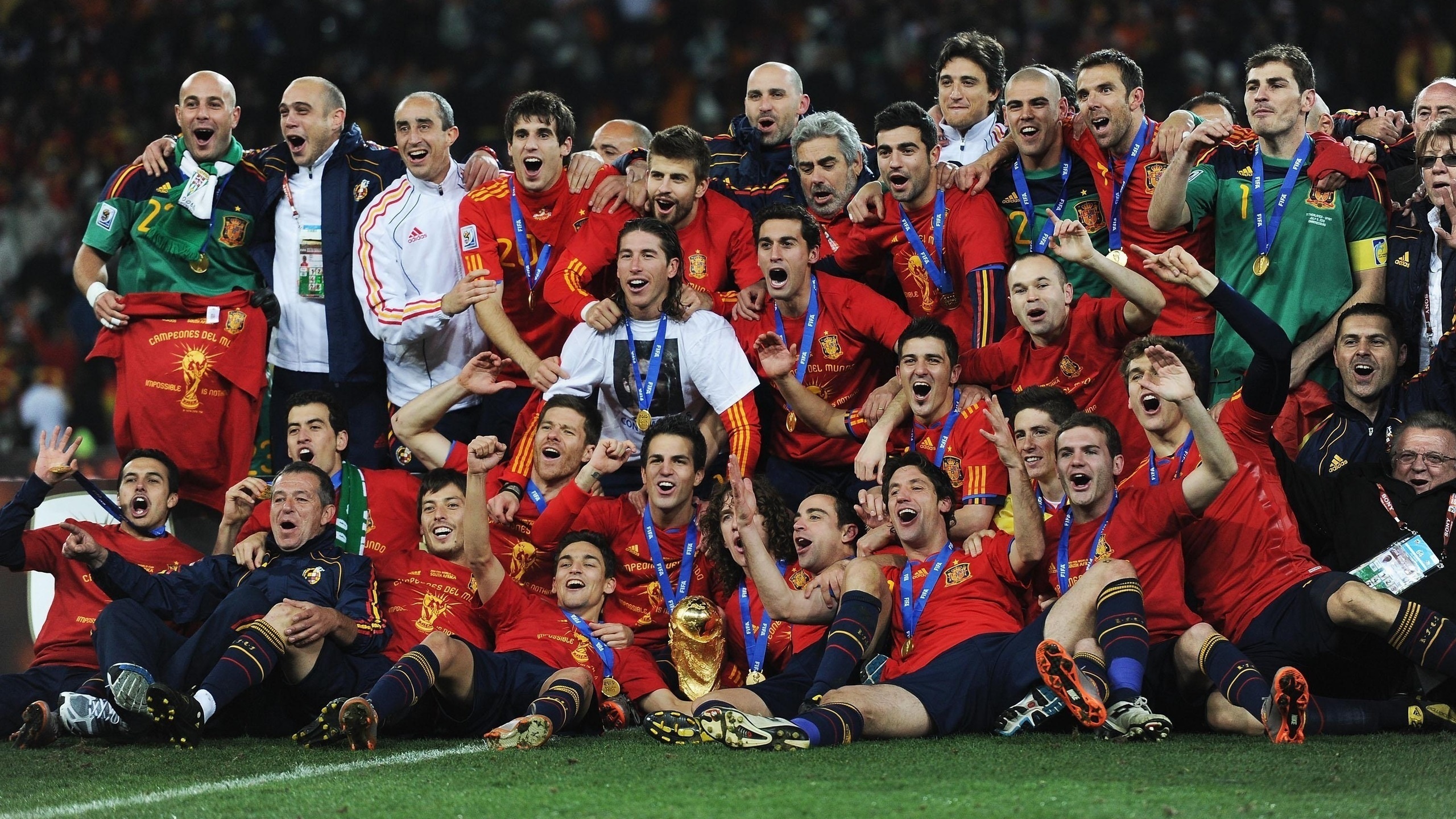 world cup 2010, torres, Spain