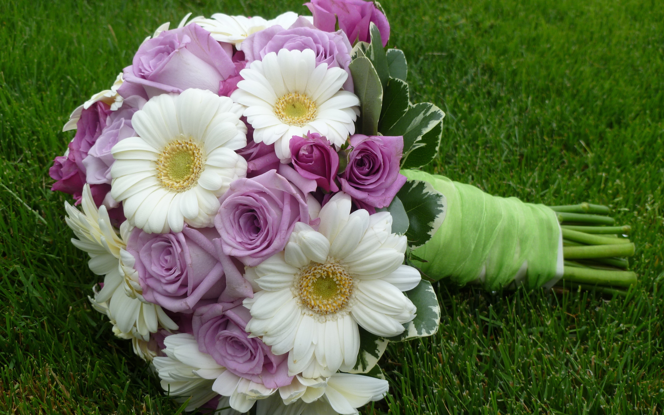 wedding, elegantly, cool, lovely, gerberas, nice, rose, roses, beautiful, flowers, Flower, bouquet