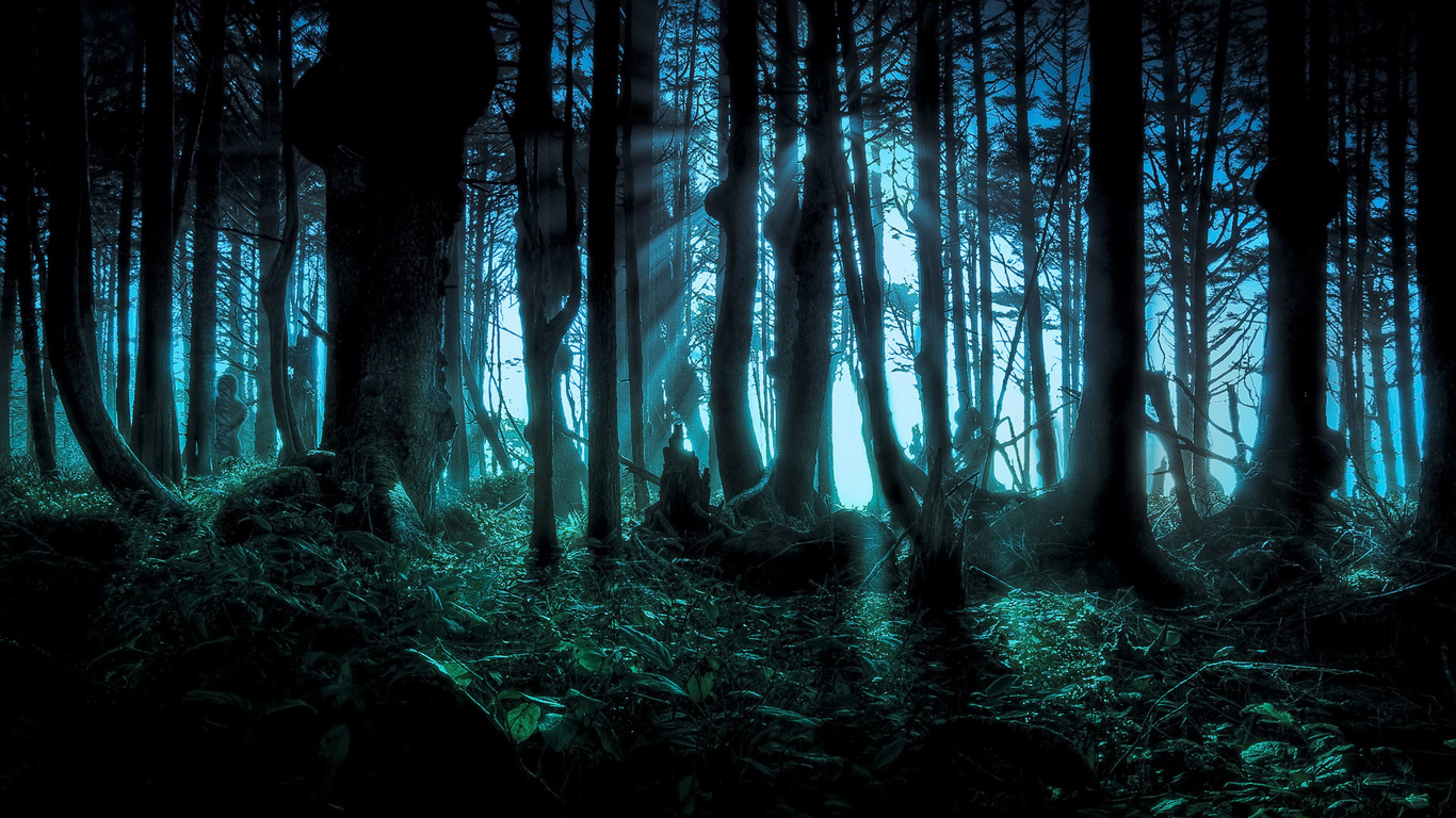 Темный лес обои на рабочий стол