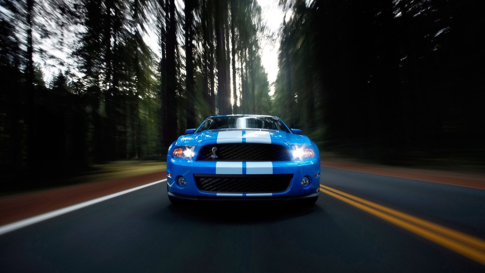 , , , ford, ford shelby gt500, shelby, gt500