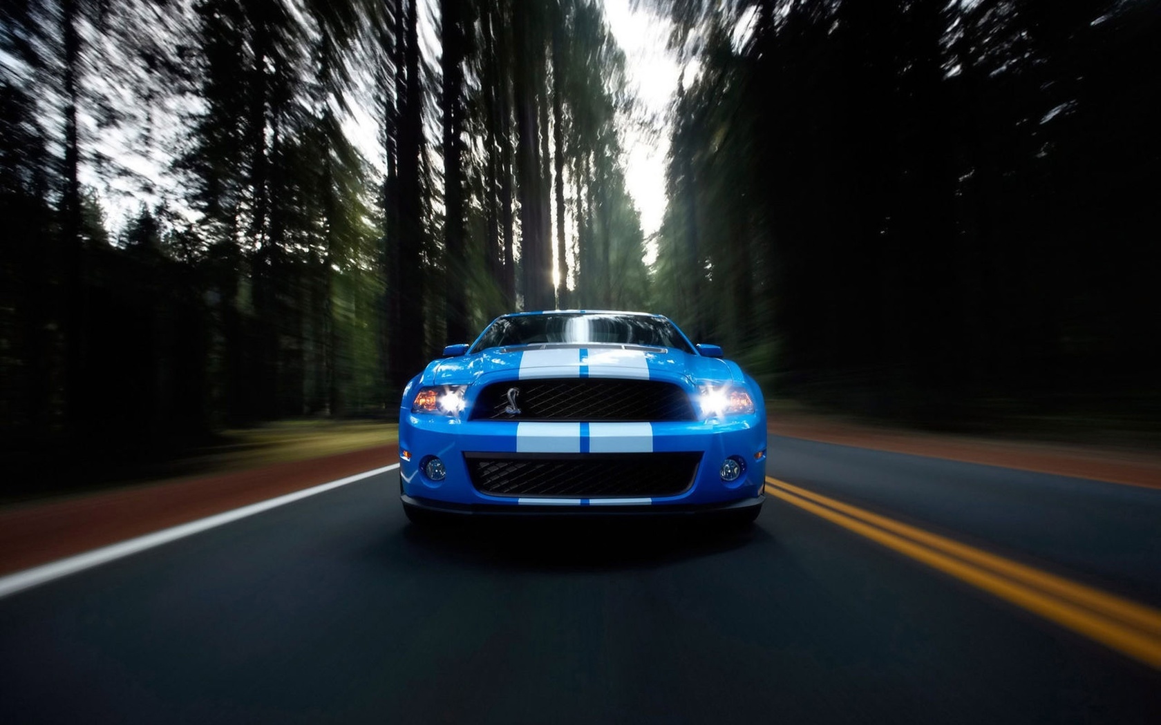 , , , ford, ford shelby gt500, shelby, gt500