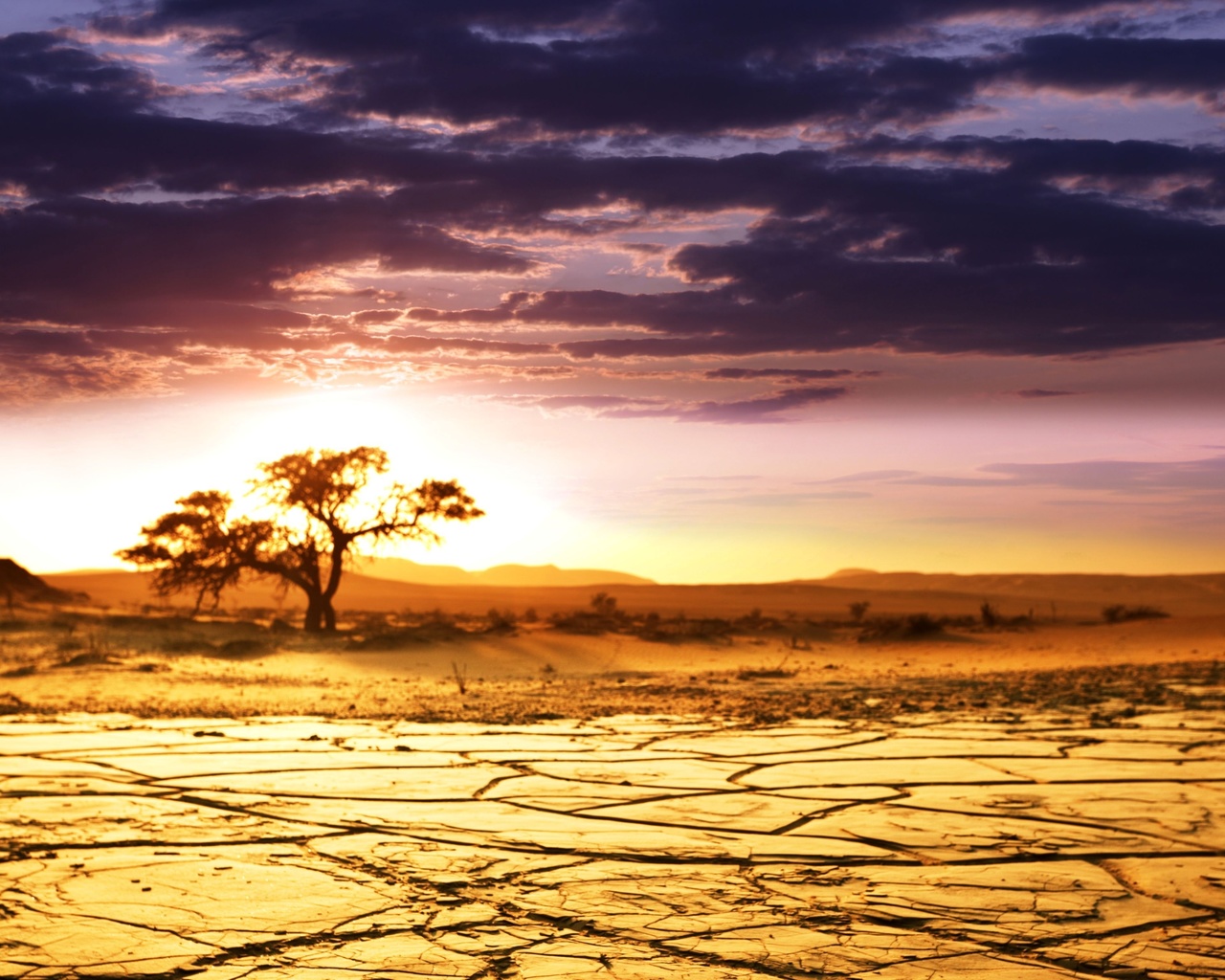 , sunrise, , , , , African landscape