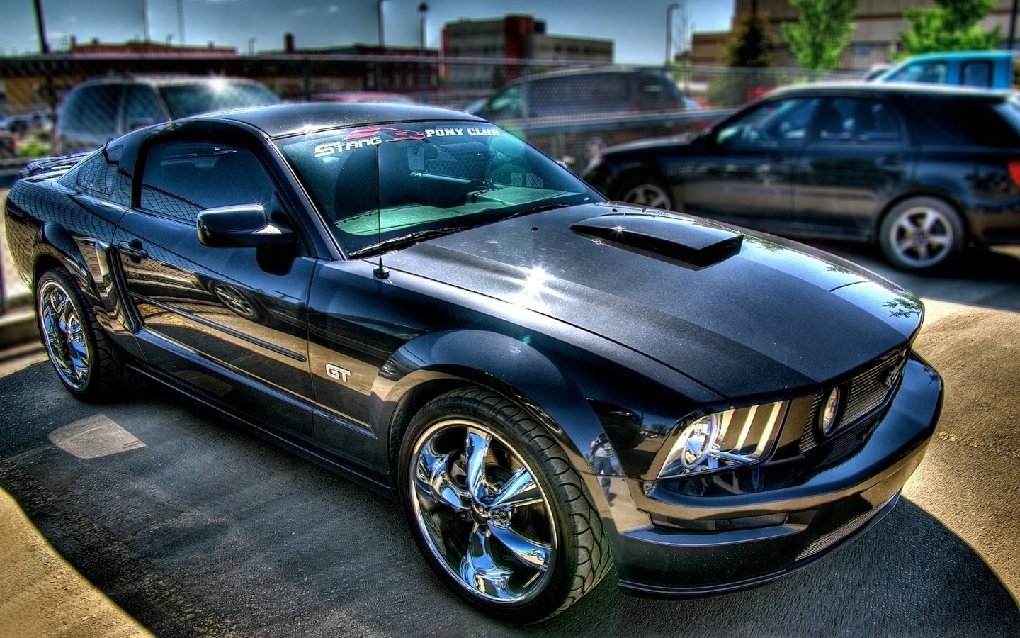 , , tuning, mustang, gt500, , avto, , Ford, shelby