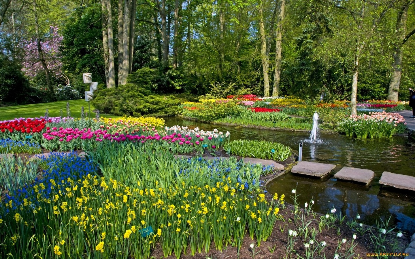 , keukenhof netherlands