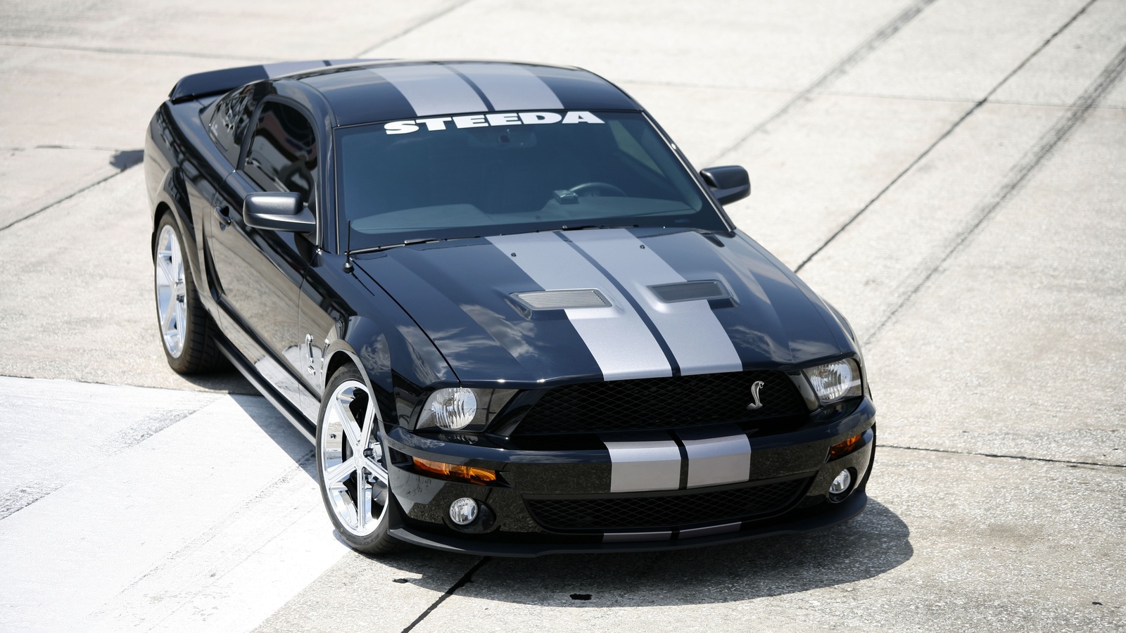 Mustang, gt500, , shelby, 