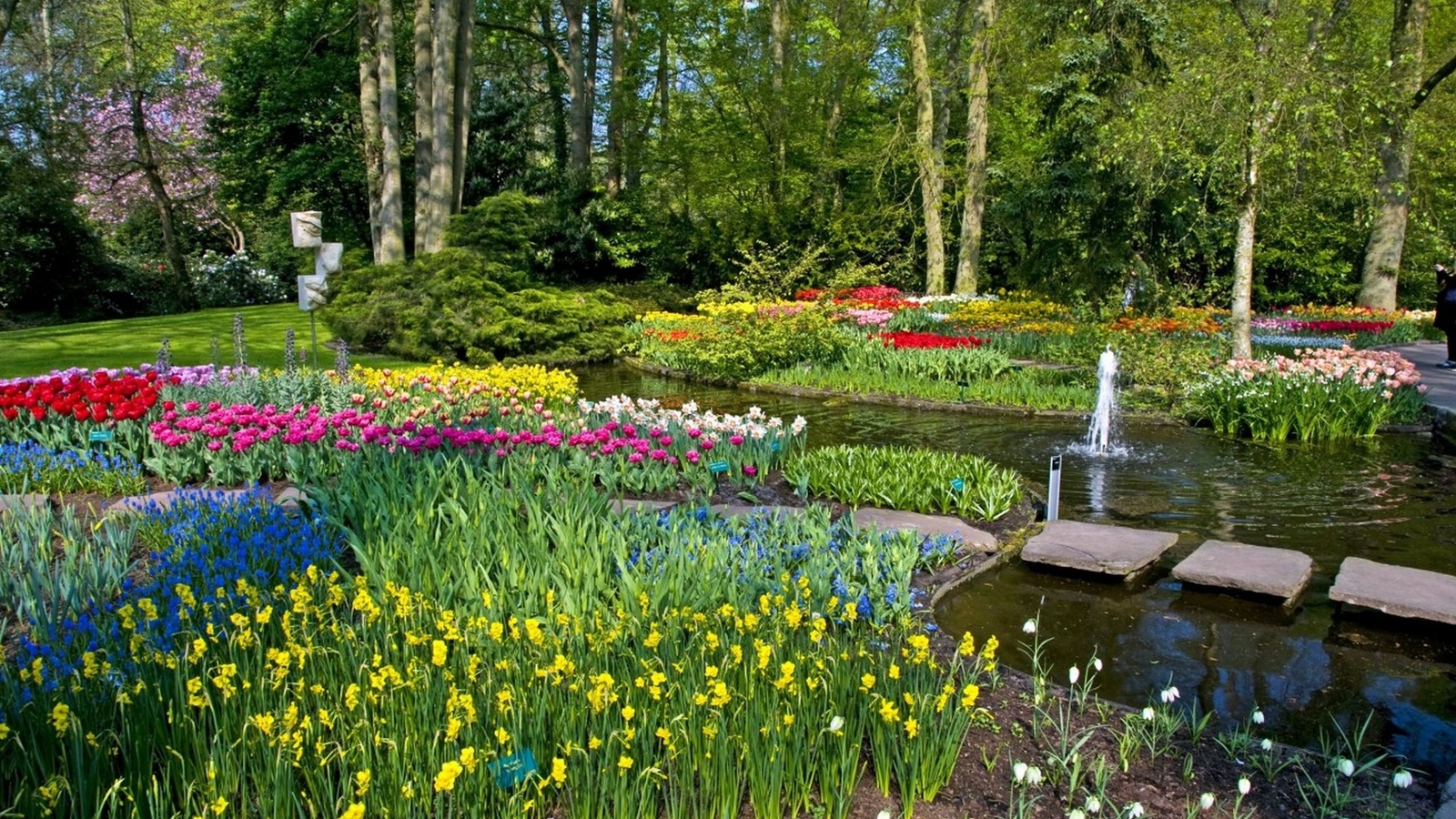 , keukenhof netherlands