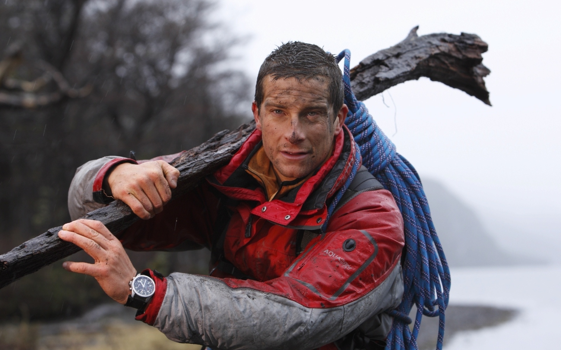 bear grylls,  ,   , ultimate survival