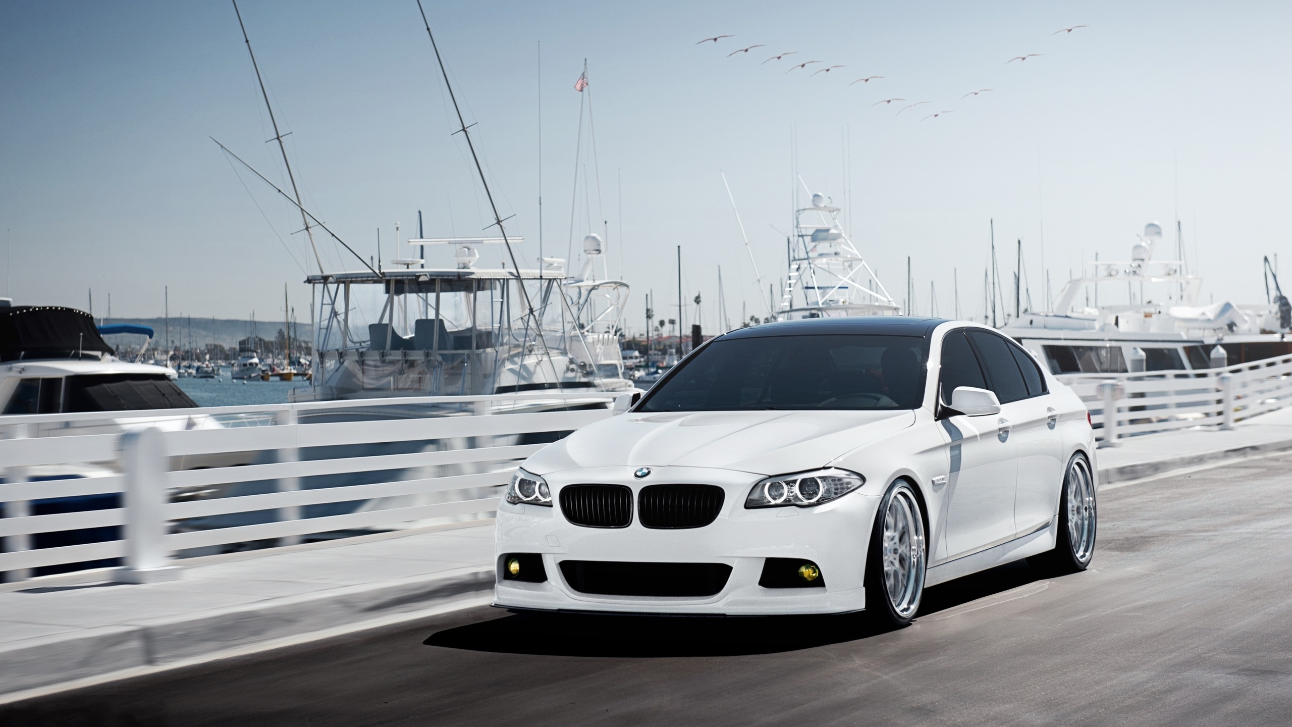 bmw, -5