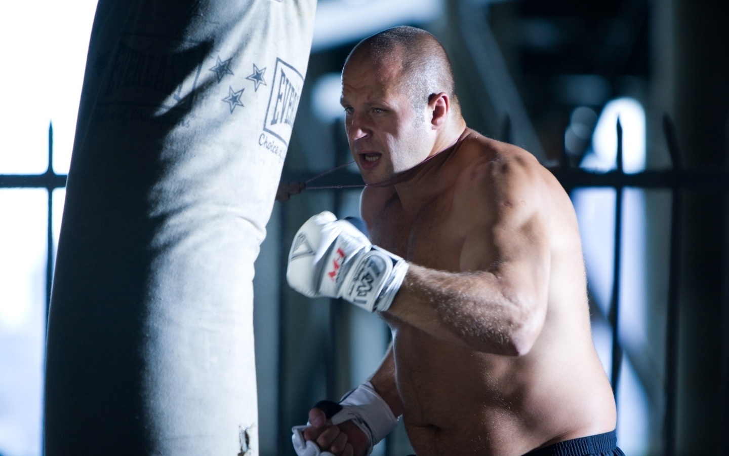 the last emperor,  , , fedor emelianenko, 