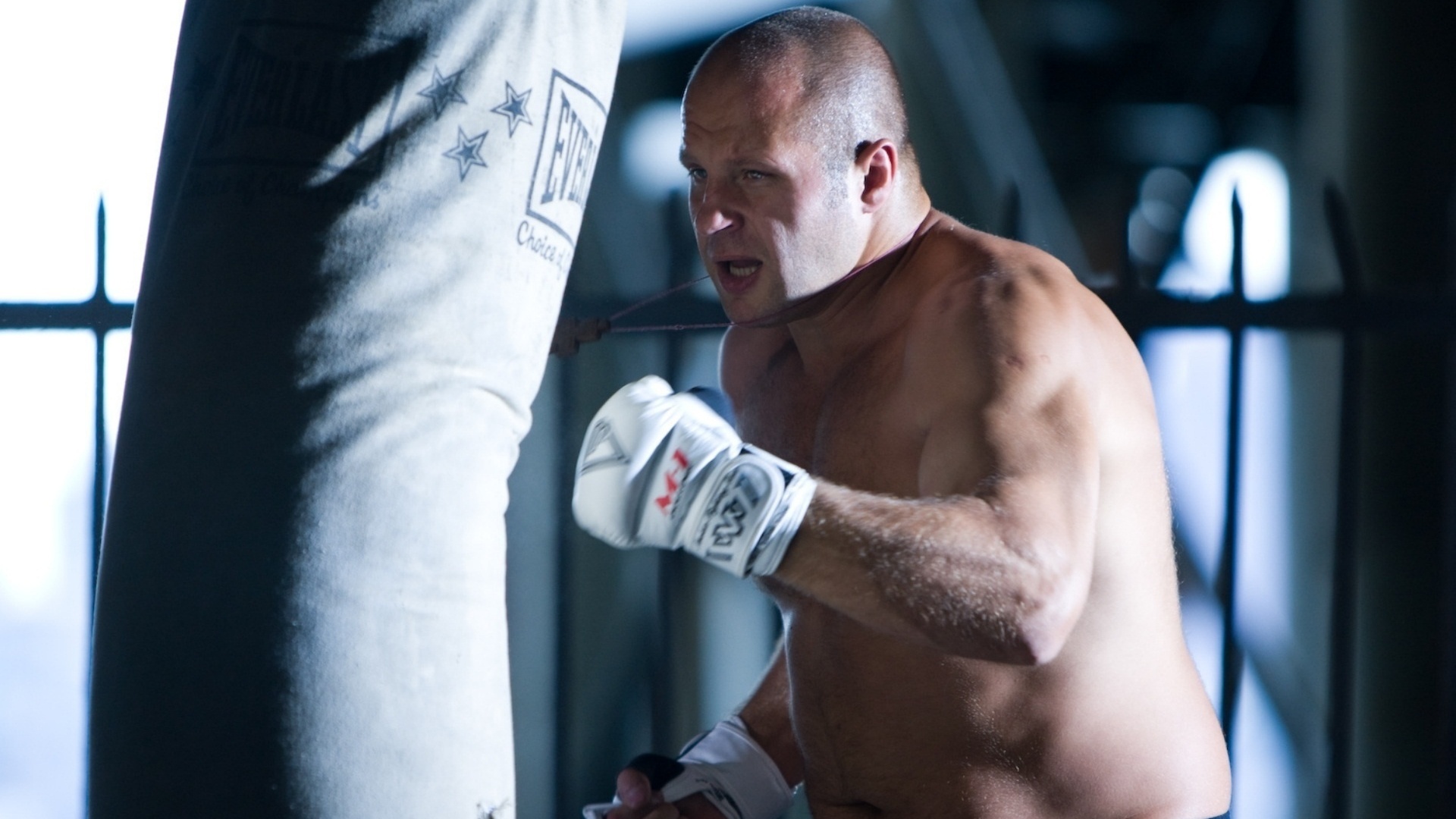 the last emperor,  , , fedor emelianenko, 