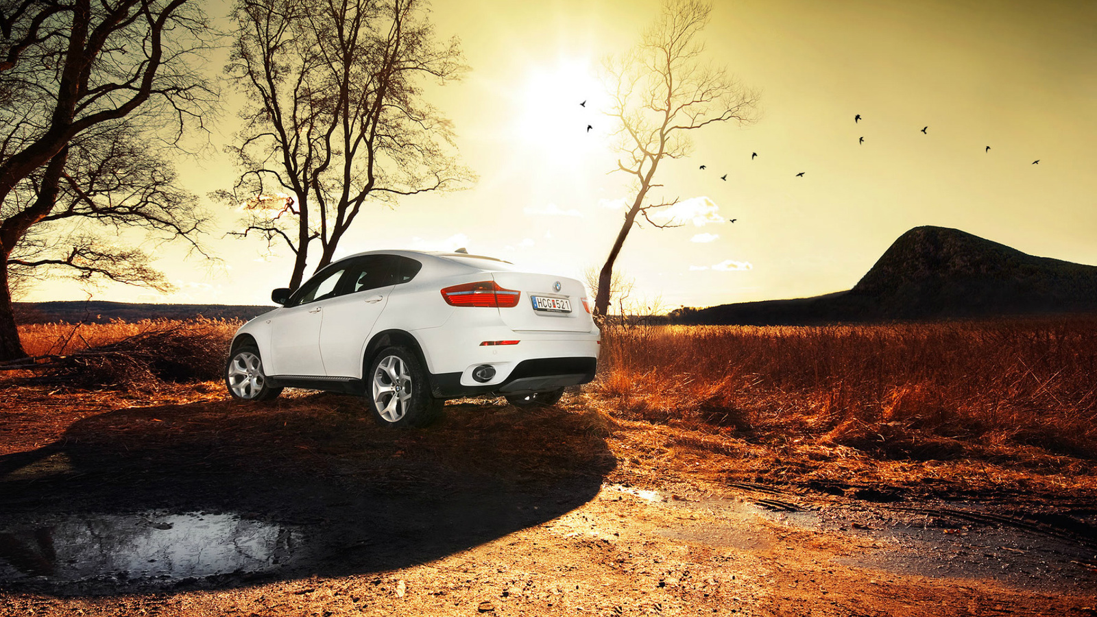 bmw x6, , , 