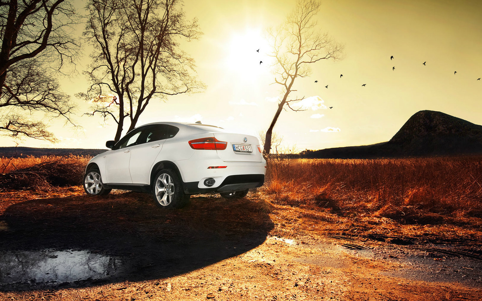 bmw x6, , , 