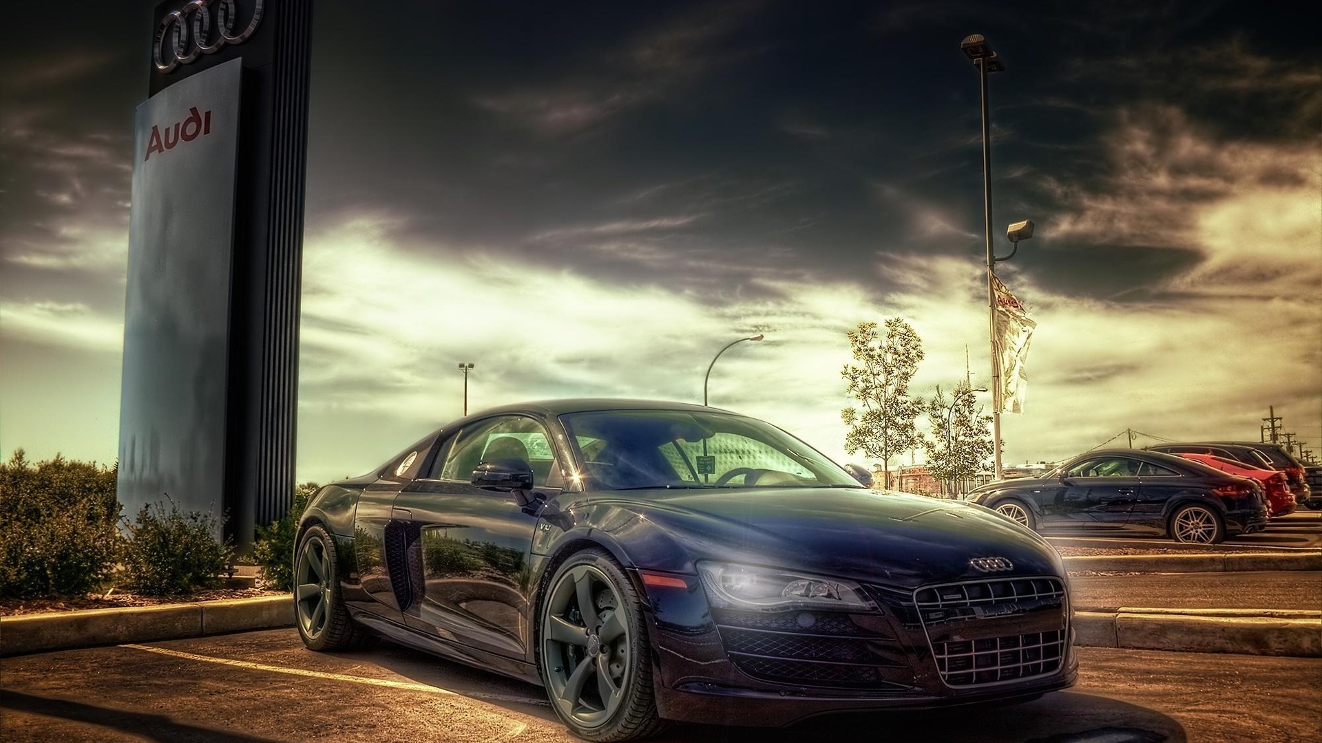 , , q7, a5, tt, audi, r8