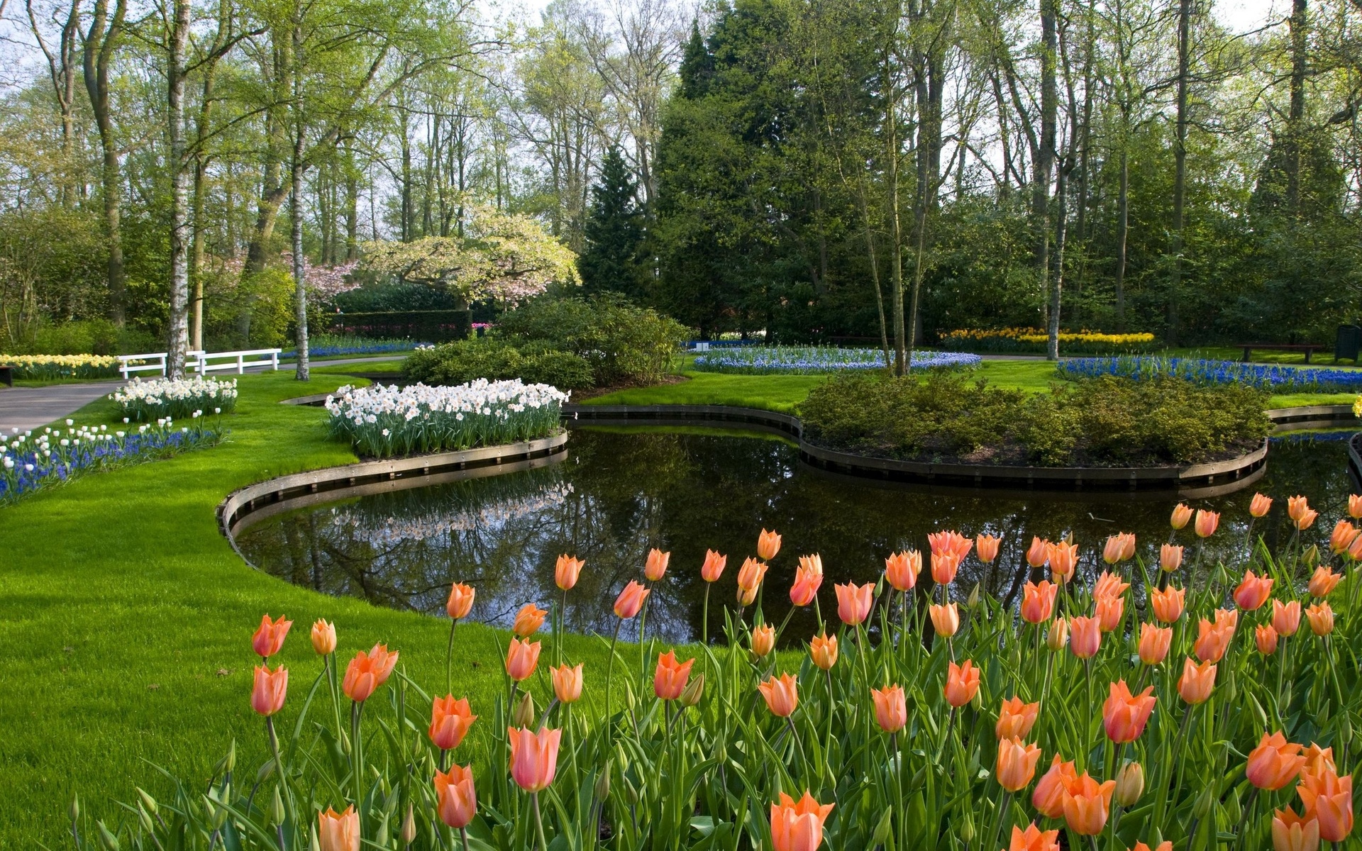  , keukenhof lisse netherlands