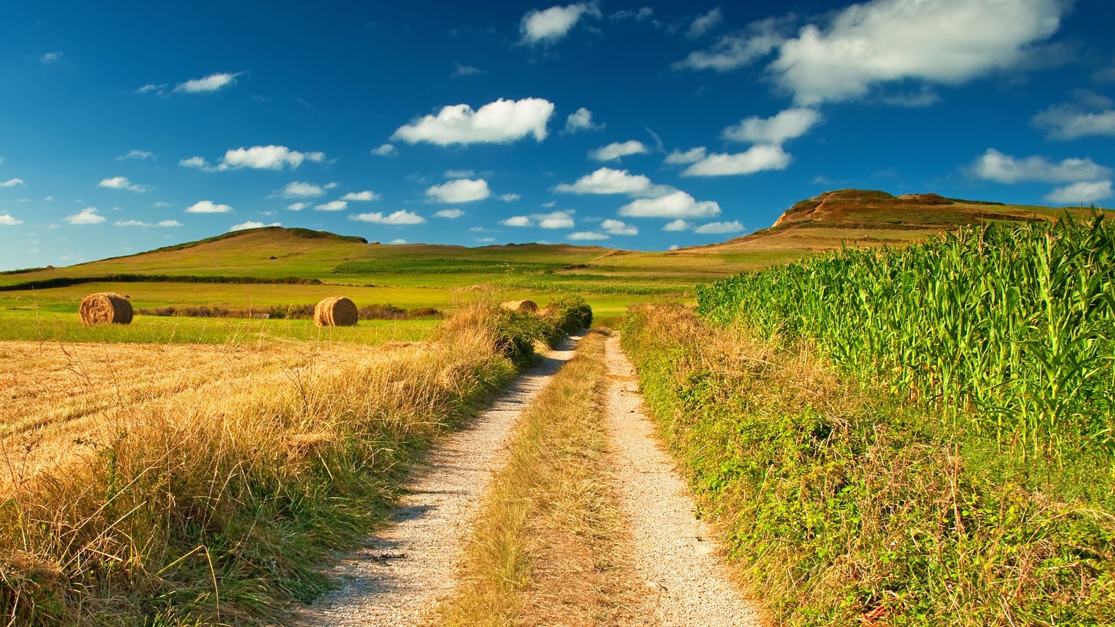 picture, nature, scenery, scenic, landscape, sky, blue, Byroad, field, view, scope