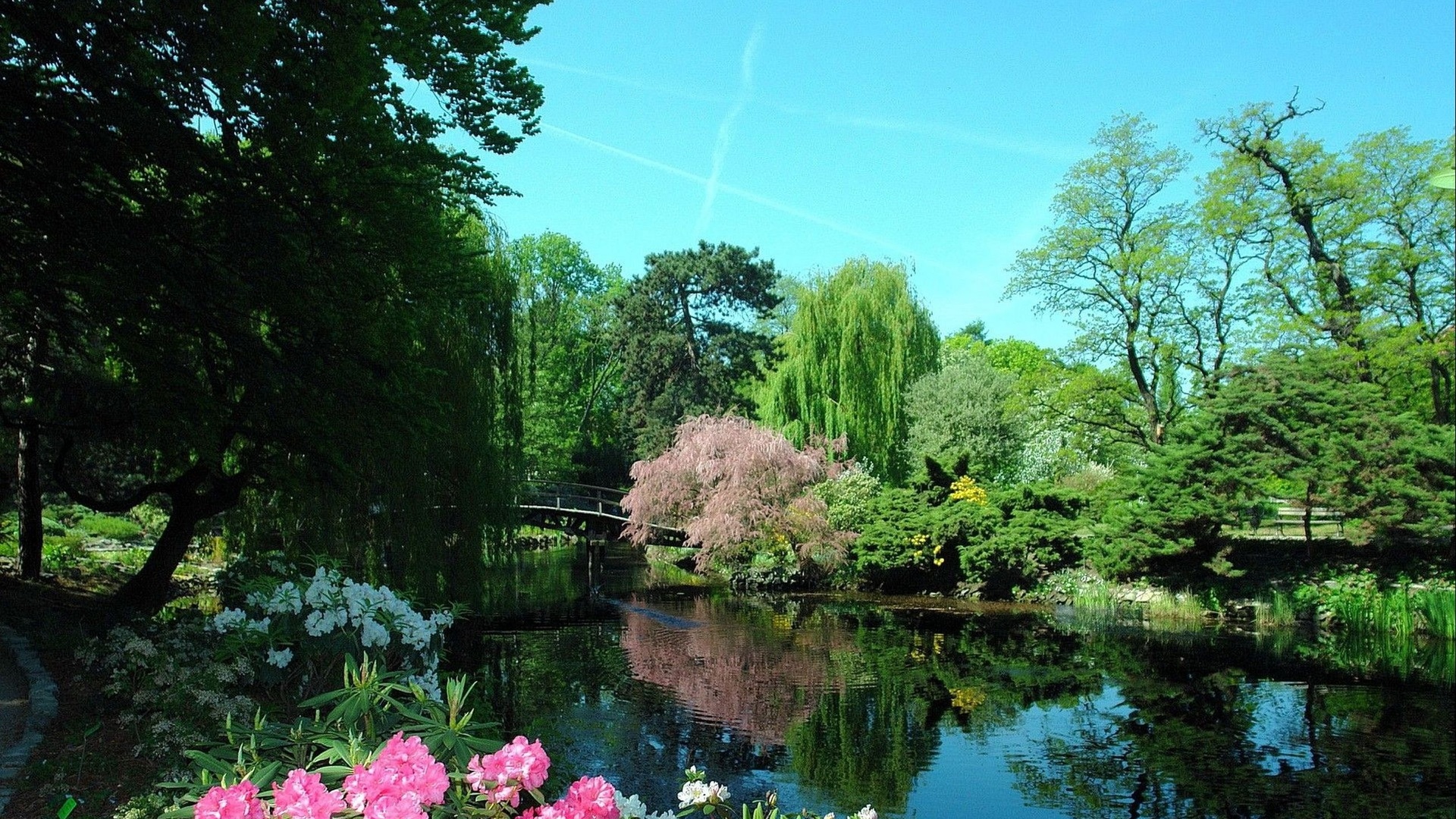 japanese garden ,  szczytnicki