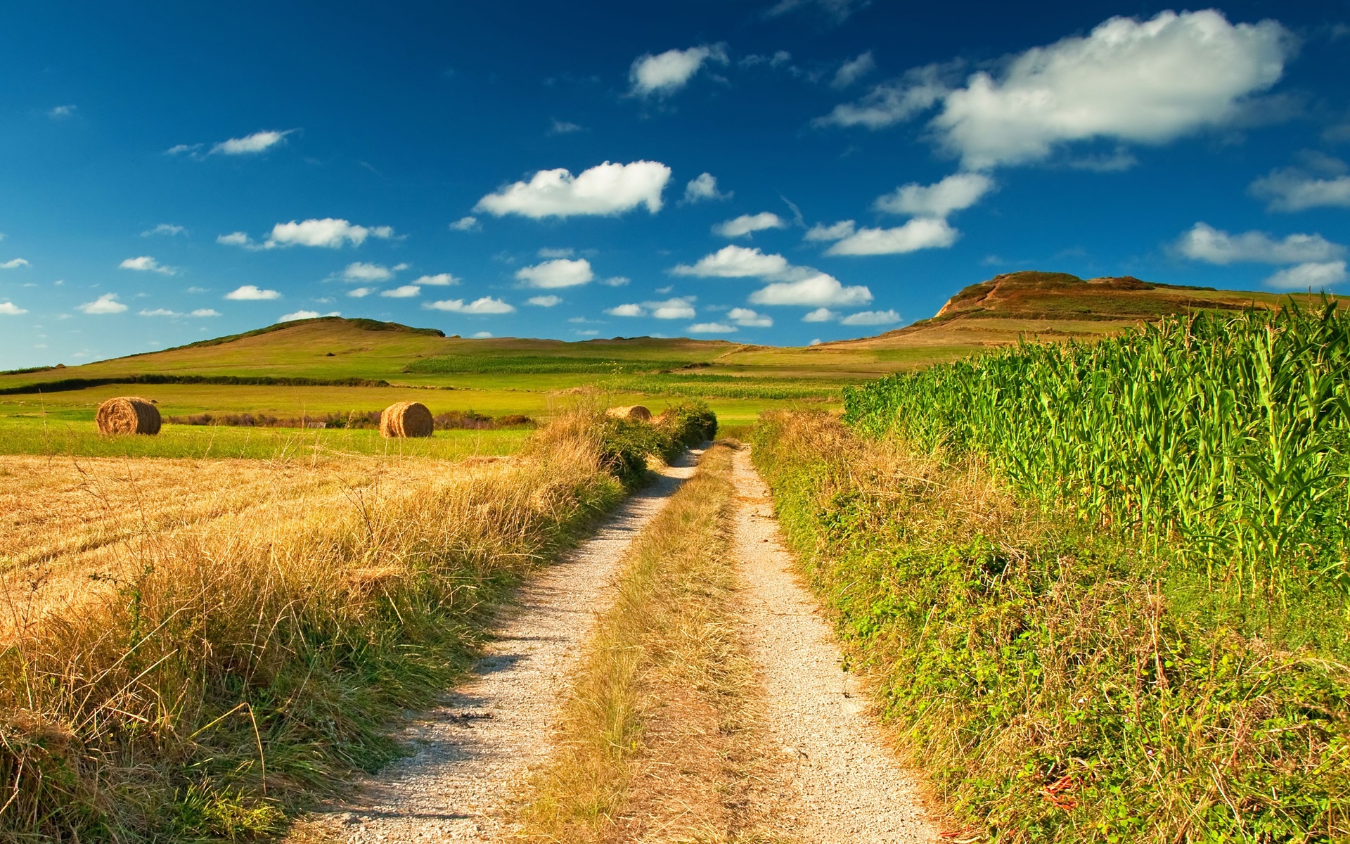 picture, nature, scenery, scenic, landscape, sky, blue, Byroad, field, view, scope