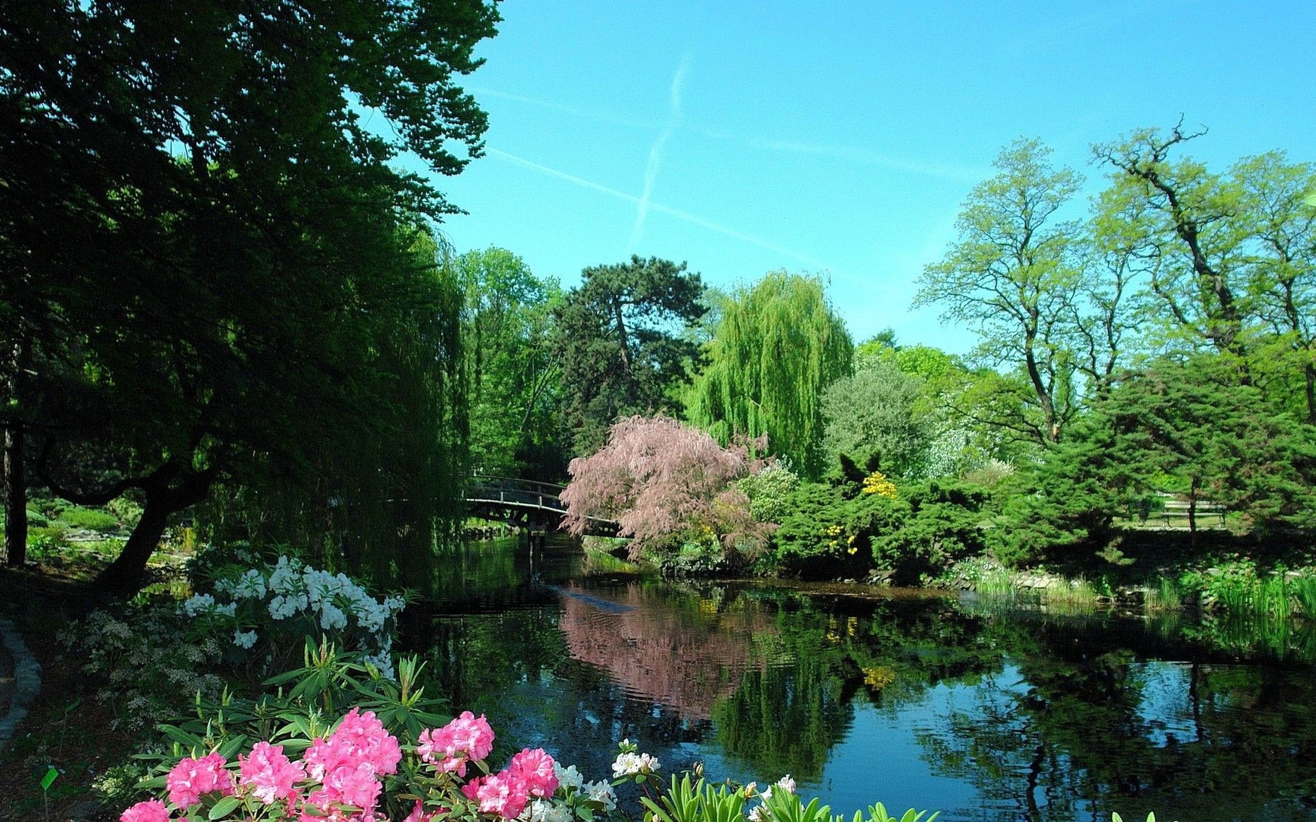 japanese garden ,  szczytnicki