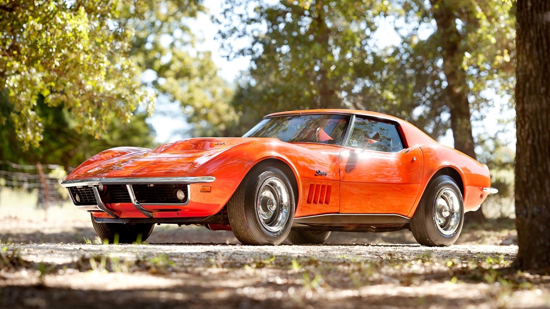 Chevrolet, , 1969, , corvette, stingray, c3, 