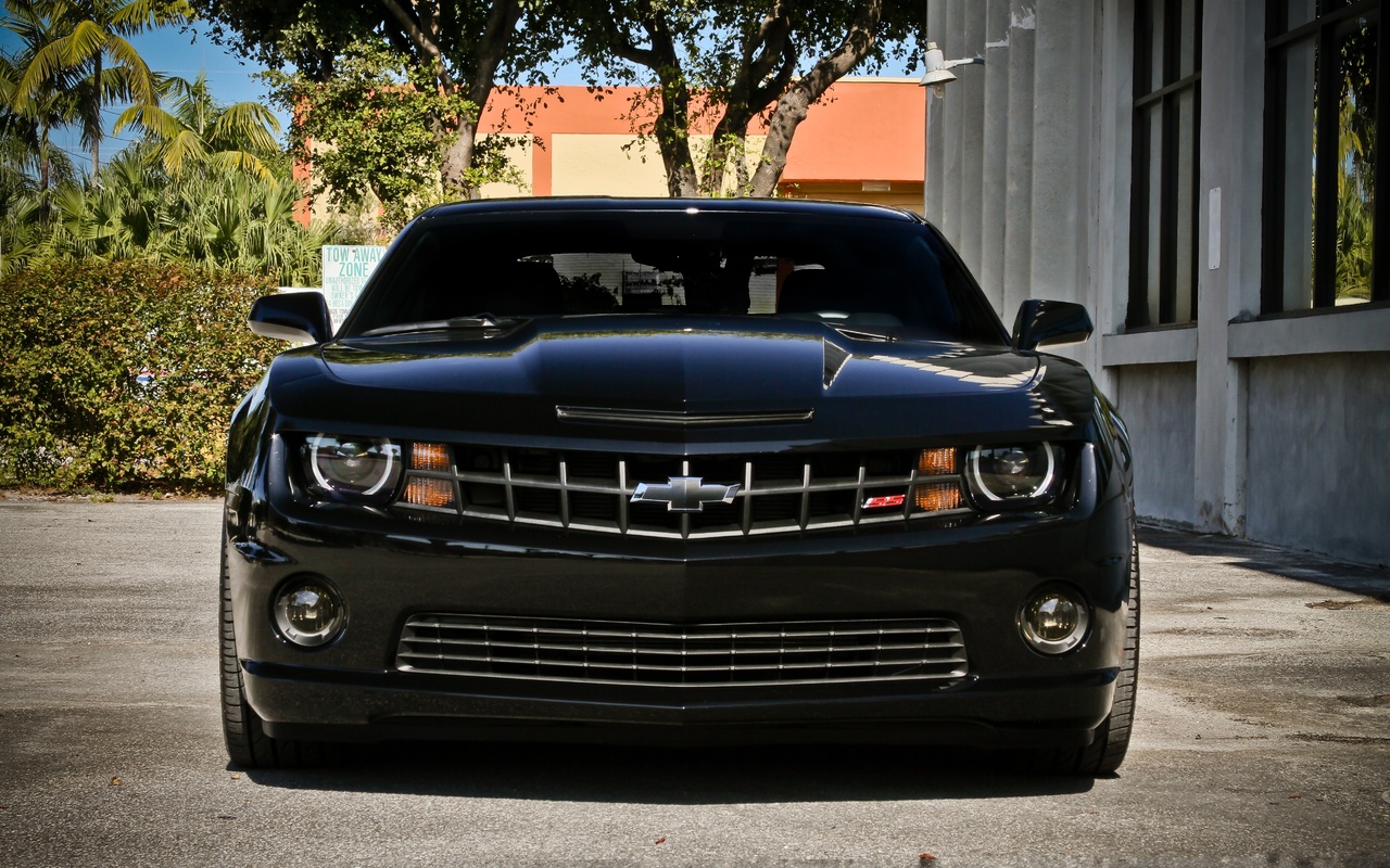 chevrolet, , camaro ss, street, black