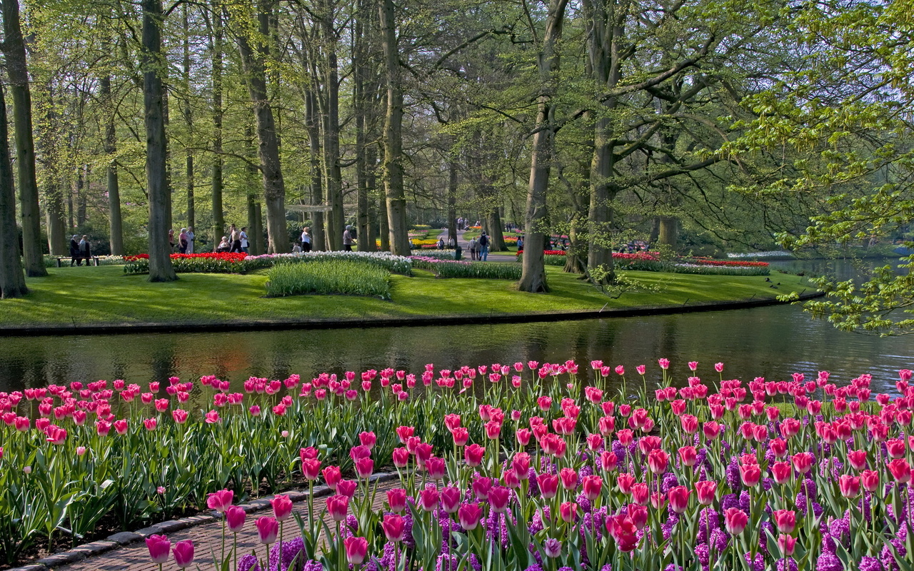 keukenhof lisse netherlands,  , ,