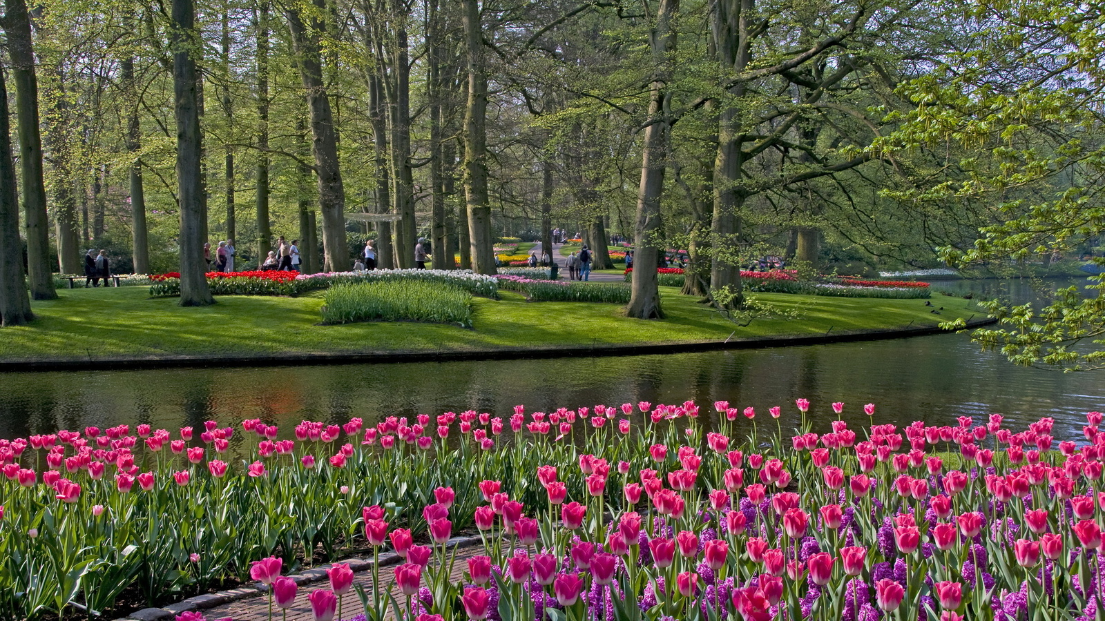 keukenhof lisse netherlands,  , ,