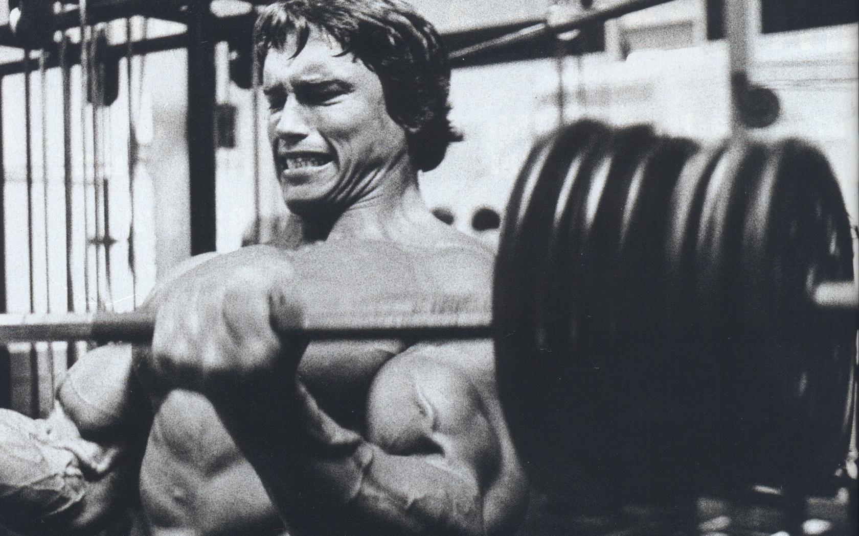  , arnold schwarzenegger