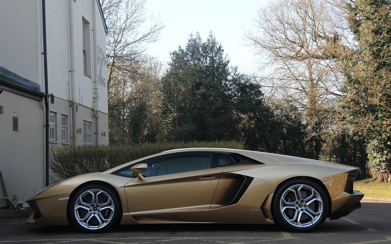 gold, wheels, lamborghini, lp700-4, black, aventador