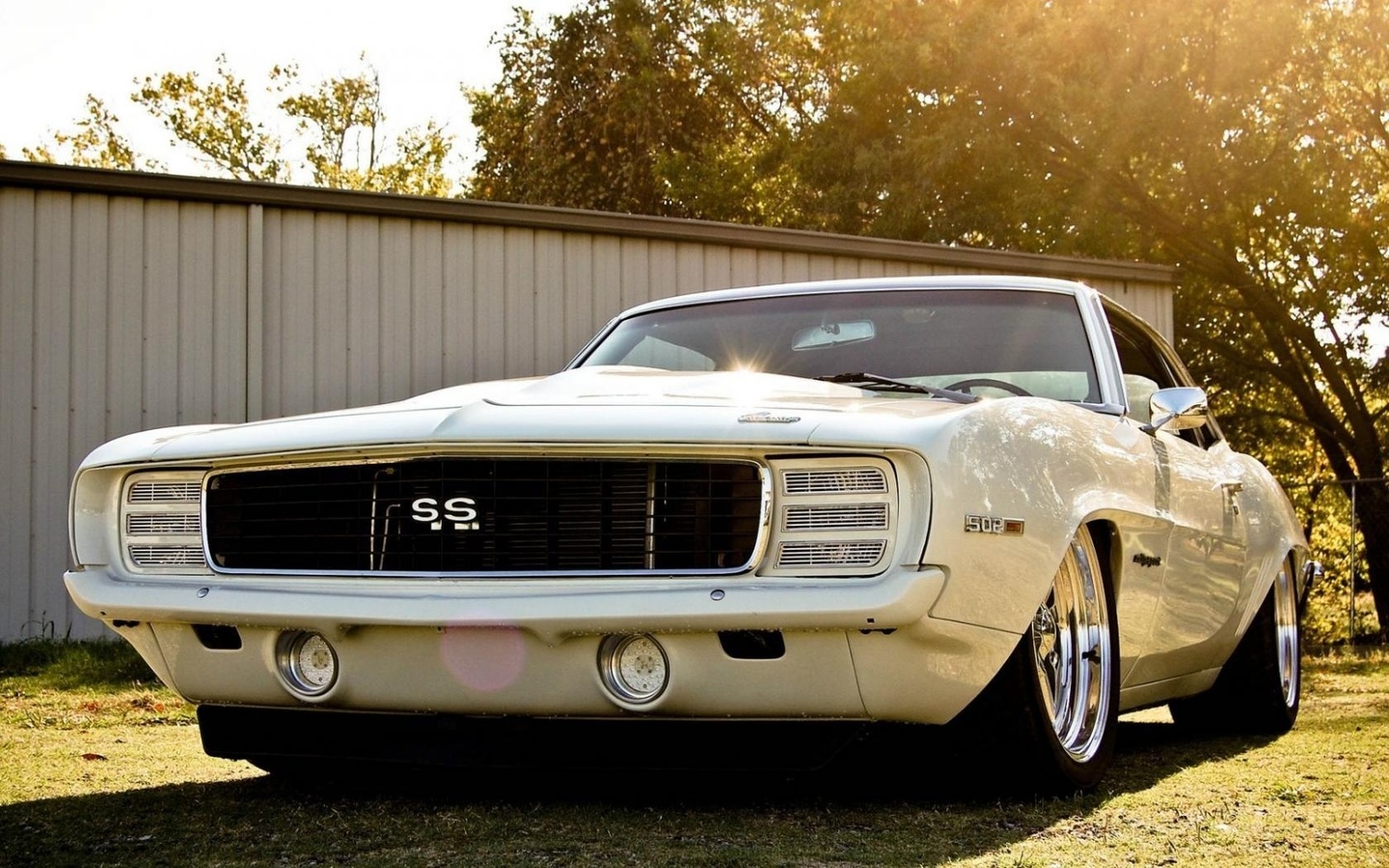 camaro, ss, chevrolet, 1970