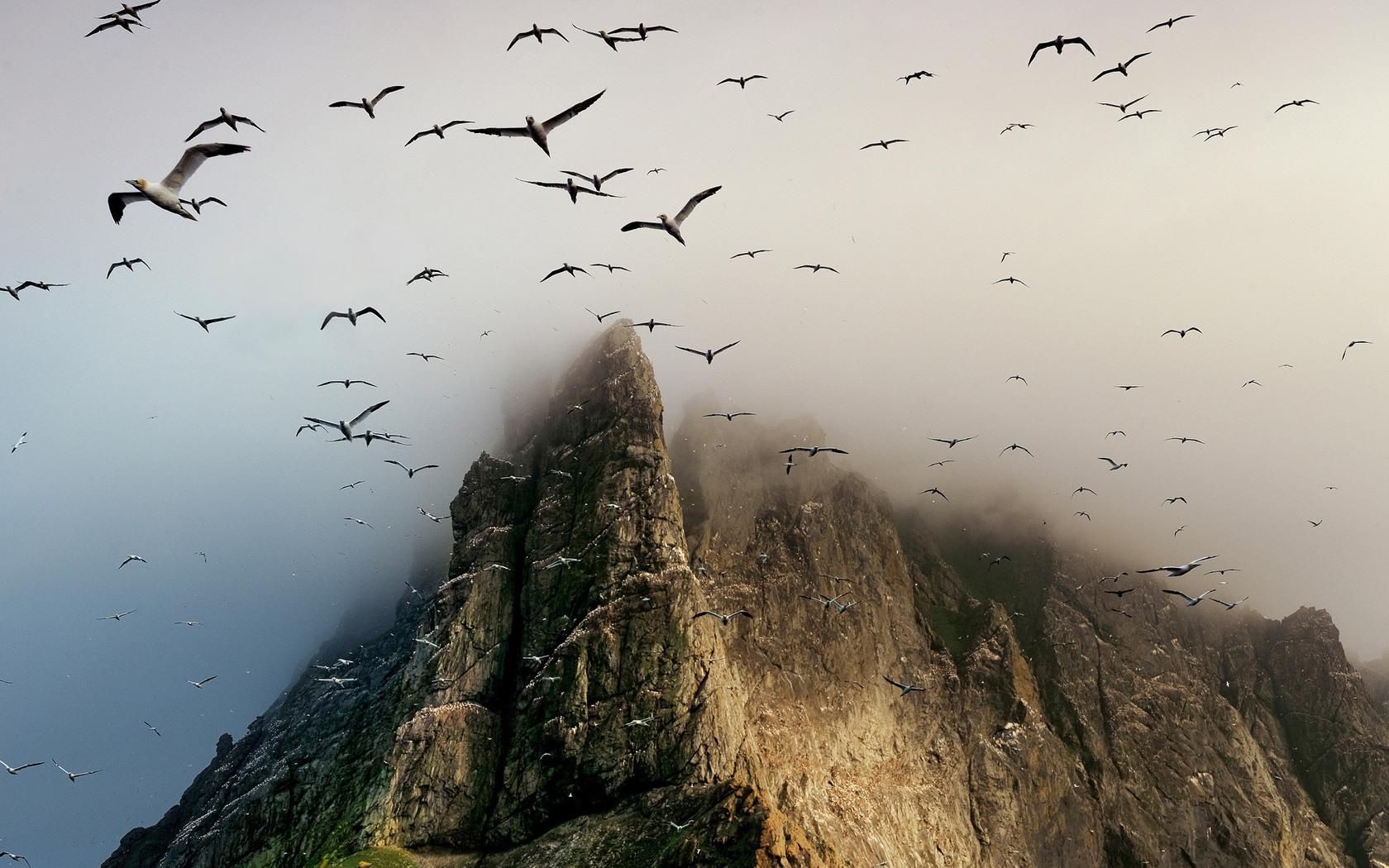 scotland, , , Boreray island, , st. kilda archipelago