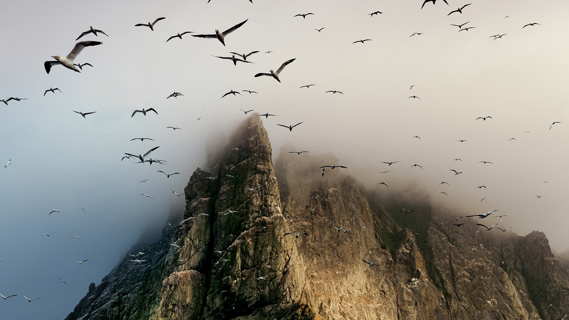 scotland, , , Boreray island, , st. kilda archipelago